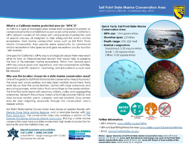 MPA fact sheet - click to enlarge in new tab